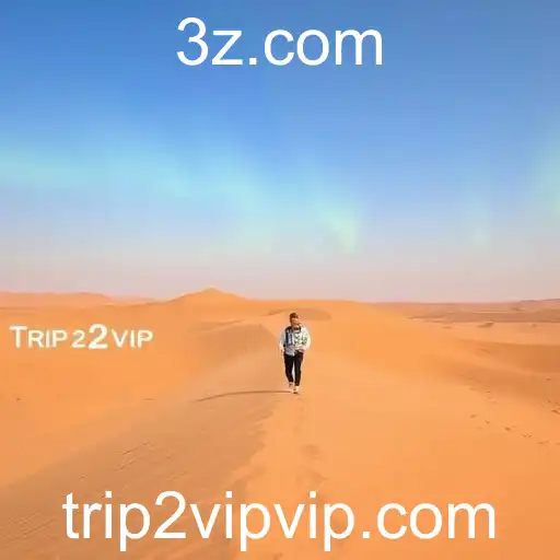 Discovering Unique Experiences with Trip2Vip